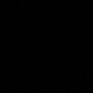 Meet your Posher, Kylie